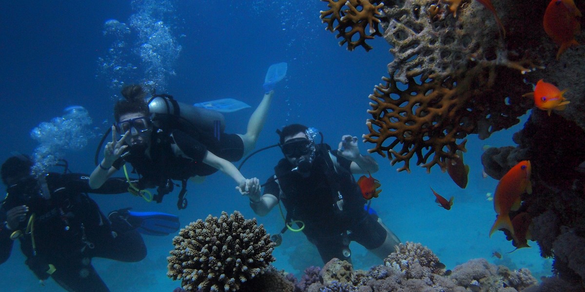 Diving & Snorkelling nel Golfo del Tigullio